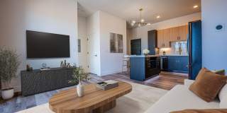 The Chelsea Gallery 5