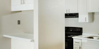 Surfcaster Gallery 14