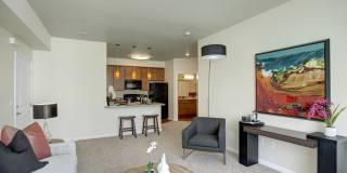 Solara Gallery 10