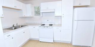 Charming 3/1 House Gallery 1