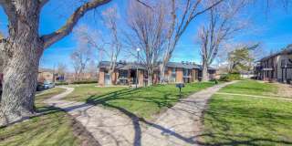 Orchard Gardens  (OG) Gallery 24