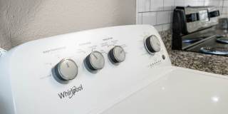 The Harrison Gallery 6