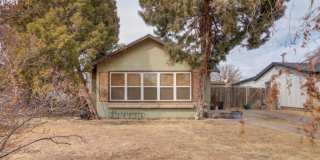 Newly renovated 3 bed 2 bath 1 car garage now available in Shallowater Gallery 1