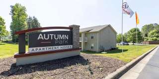 Autumn Park Gallery 21