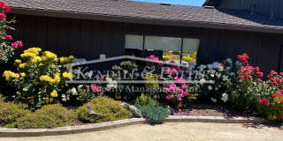 Beautifully Remodeled 4 Bed/2 Full Bath + 2 1/2 Bath Country Club Park Home Gallery 8