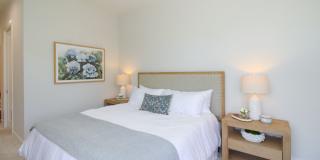 ****DOWNTOWN NAPLES*** SEASONAL***BEAUTIFUL VILLAS NAPOLI****NOW AVAILABLE*** Gallery 44