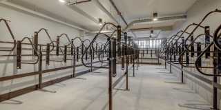 CINQ Gallery 32