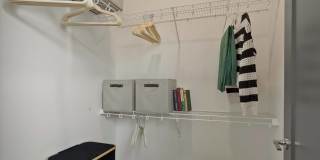 Edera Gallery 11