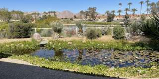 60189 Poinsettia Place Gallery 33