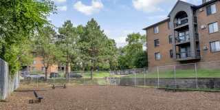 The Woodlands of Minnetonka Gallery 49