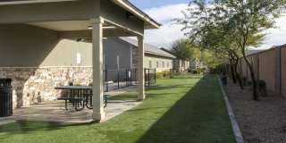 Ironwood at Happy Valley Gallery 16