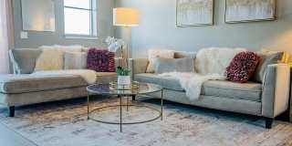 The Corvina Gallery 8