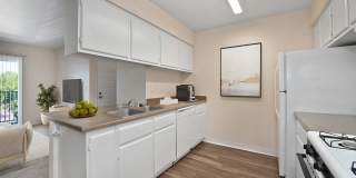 Hastings Park Gallery 8