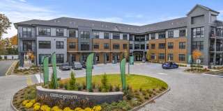 Canter Green Gallery 12