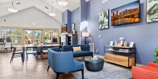 Element 170 Gallery 18