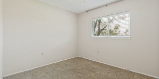 3-BEDROOM, SINGLE STORY HOME IN HIGH COUNTRY Gallery 17