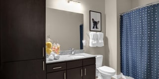 Springs at Buckingham Farms Gallery 12