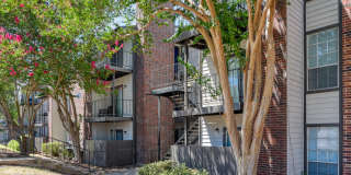 Broadstone Medical Gallery 17