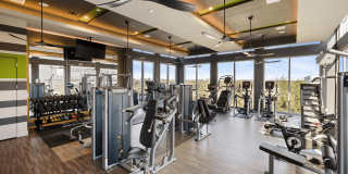 Reverie at River Hollow Gallery 13