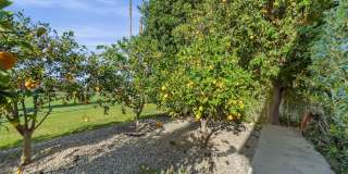 1350 E Murray Canyon Drive Gallery 78