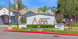 Avion Gallery 40