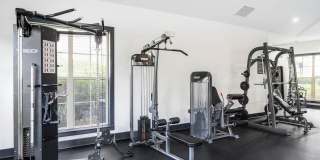 CityGreen at Northshore Gallery 28