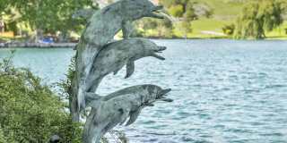 2625 Spinnaker Drive 2625 Spinnaker Drive Gallery 76