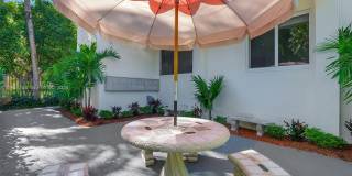 428 Collins Ave Gallery 16