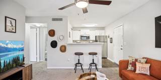 Harmony on Main Gallery 12