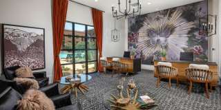 Vasari at Ventana Gallery 24