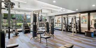 Memorial Hills Gallery 36