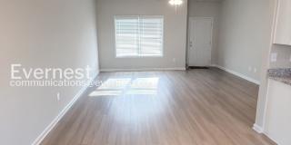 136 Culver Street Gallery 14