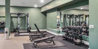 Alta Avondale Gallery 15