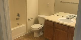Beautiful 3 Bed, 2 Bath Condo in NW Fort Collins! Gallery 8