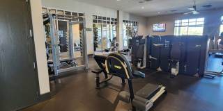 Guard-Gated Cadence | 2 Bed Single-Story Home in 55+ Community | WiFi Included Gallery 38