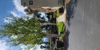 Sierra Vista Gallery 9