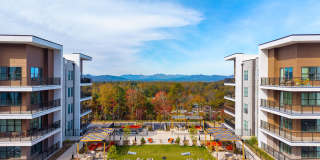 Ellison at the Preserve Gallery 41