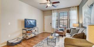 Springs at Round Rock Gallery 9