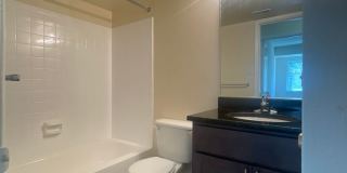 Northgate Gallery 265
