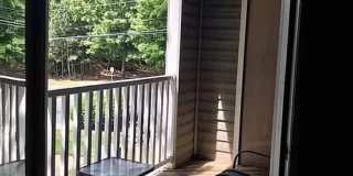 Room in 4 Bedroom Home at University Ct Gallery 11