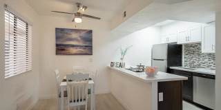 Monaco 31 Gallery 19