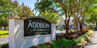 Addison at Collierville Gallery 22
