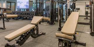 Ardence & Bloom Ardence & Bloom Gallery 16