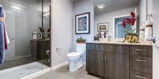 Windsor Queen Anne Gallery 18