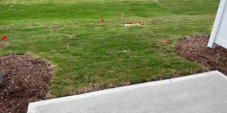 5336 Arkose Drive Gallery 6