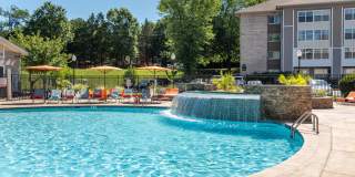 The Encore Gallery 1