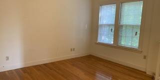 41 Linnaean Street Gallery 8