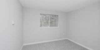 Village Fair Gallery 29