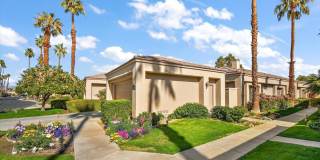 54838 Oak Tree Gallery 37