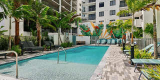 The Tropic Gallery 52